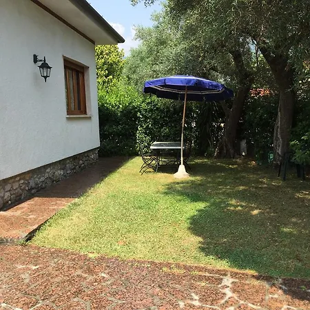 Chiara